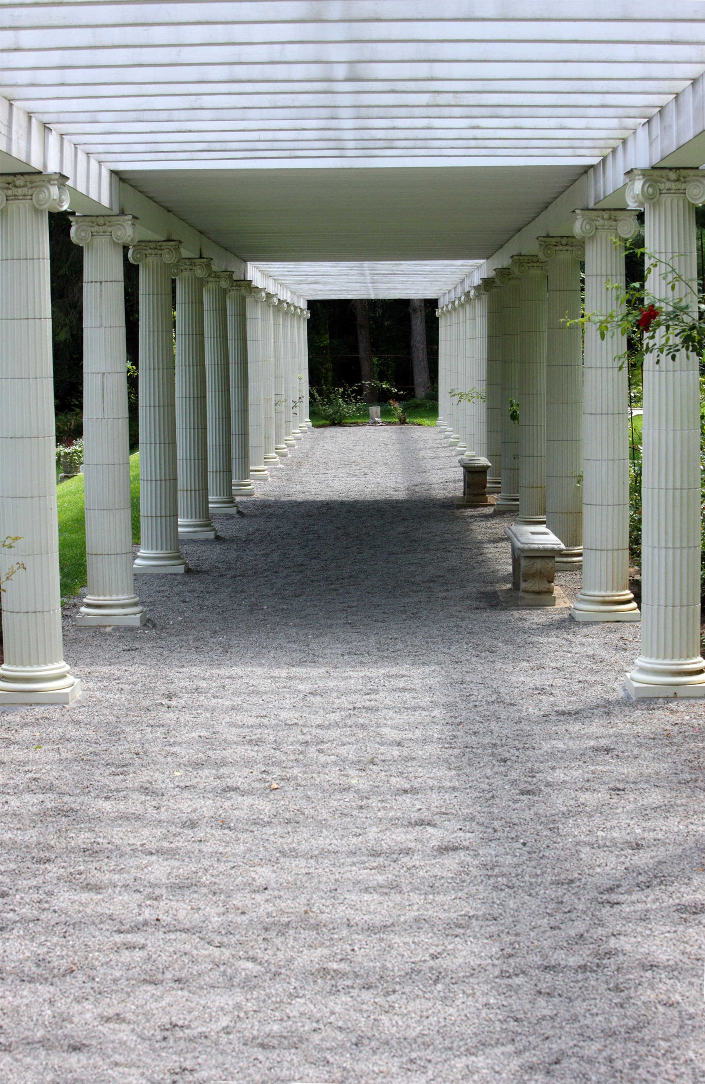 Decorative Walkway